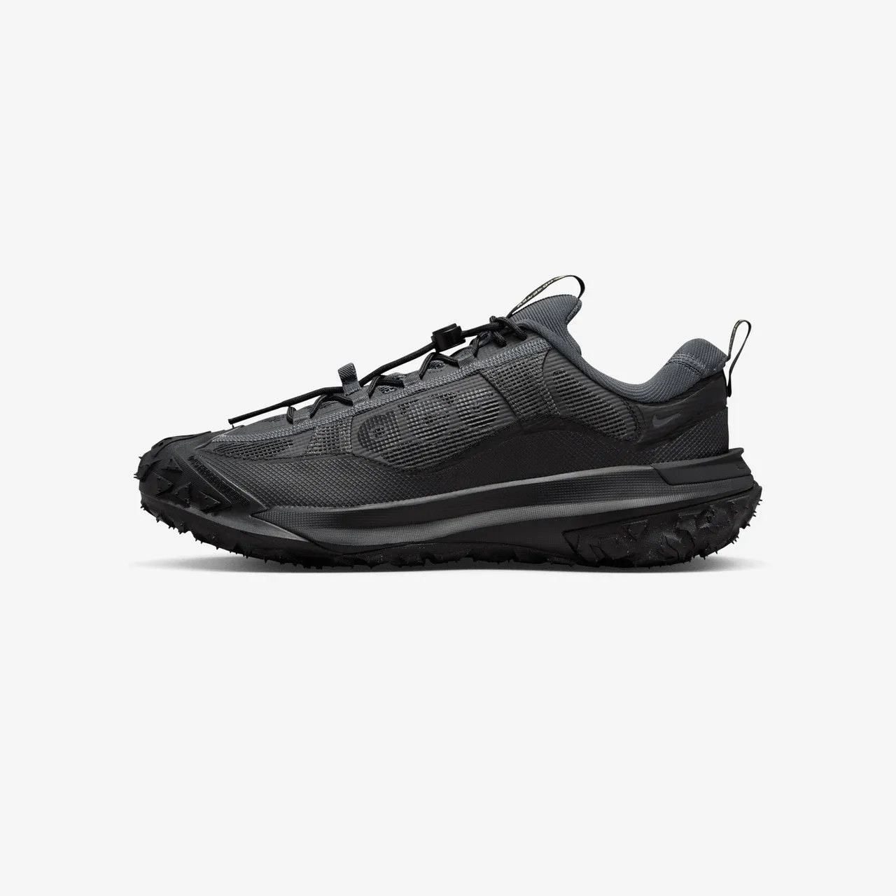 ACG Mountain Fly 2 Low Gore-Tex