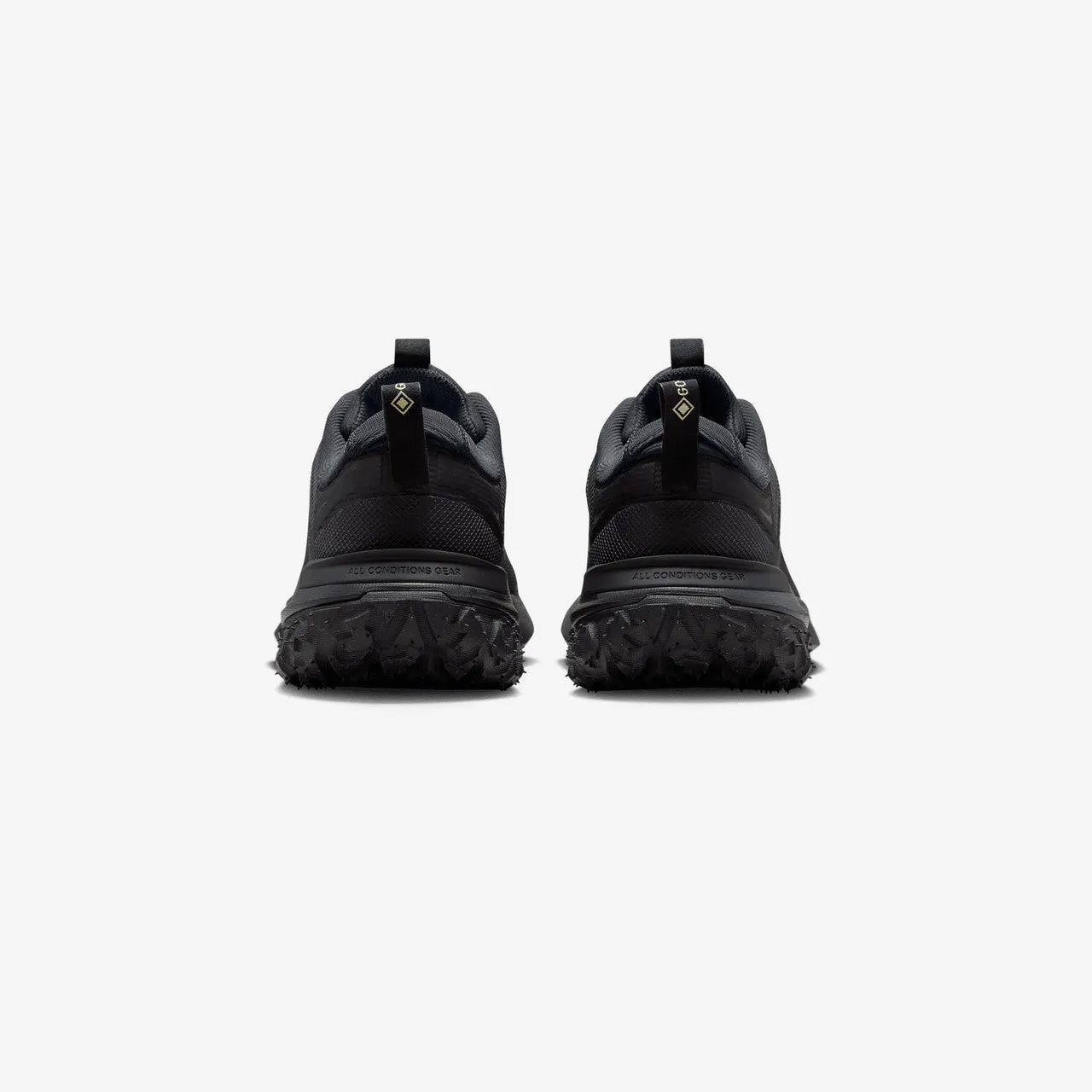 ACG Mountain Fly 2 Low Gore-Tex