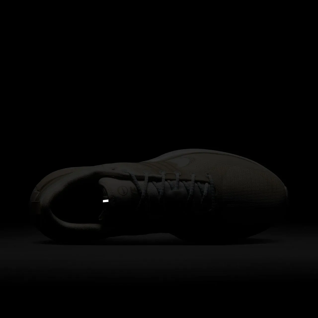 Lunar Roam