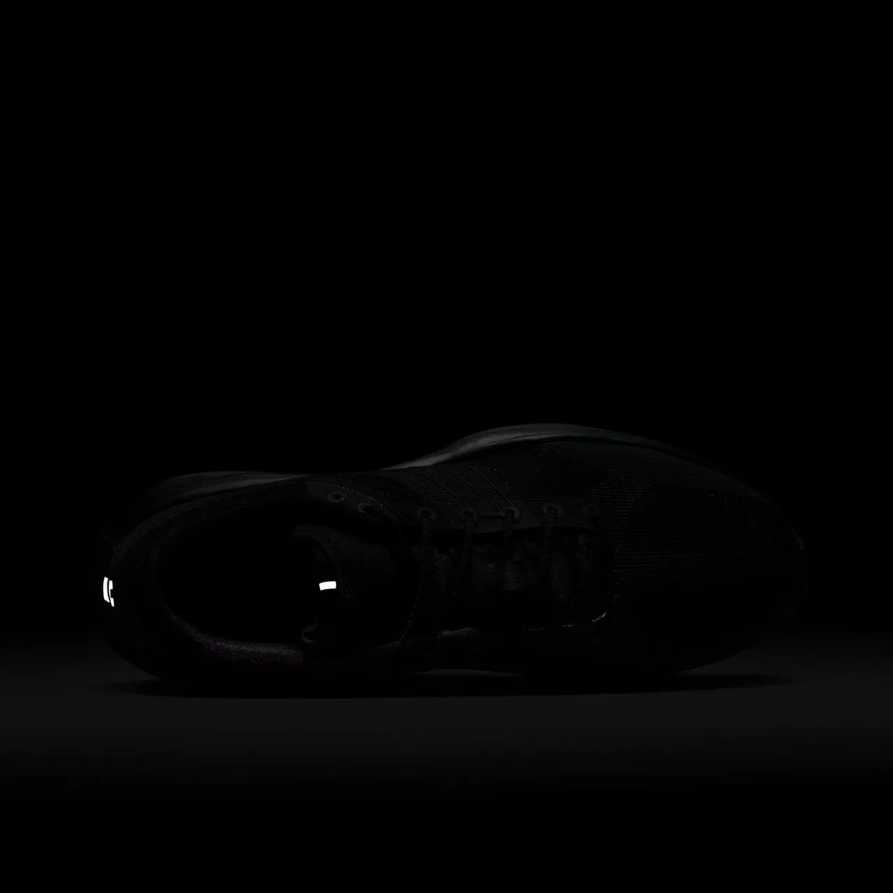 Lunar Roam