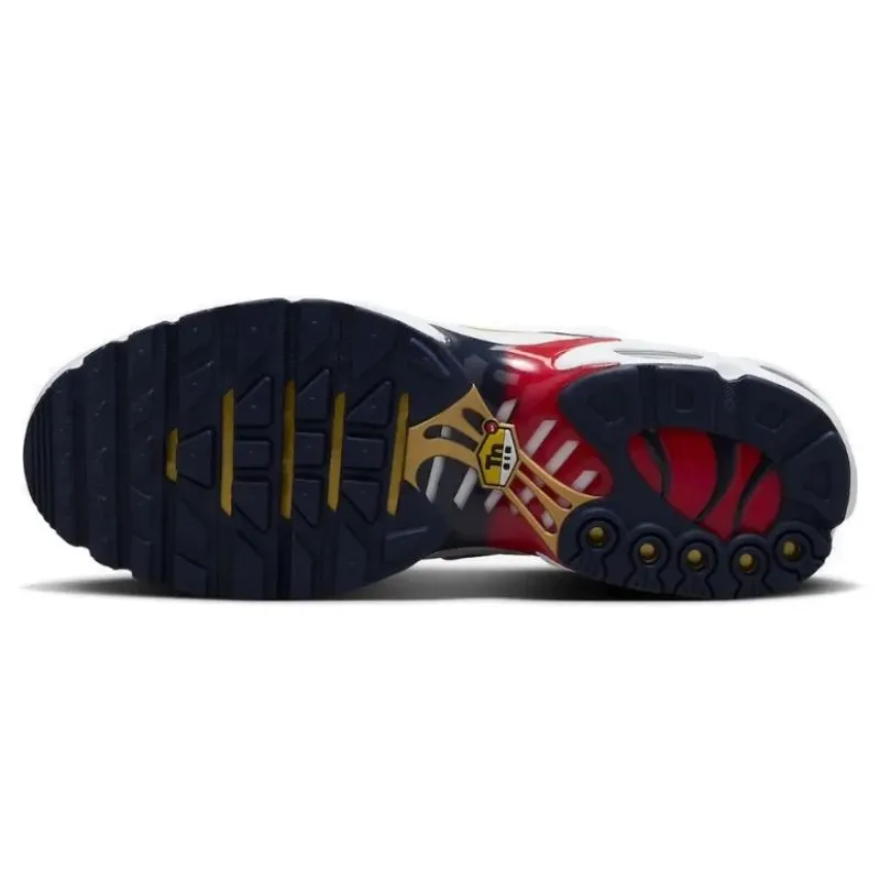 Nike Air Max Plus PSG