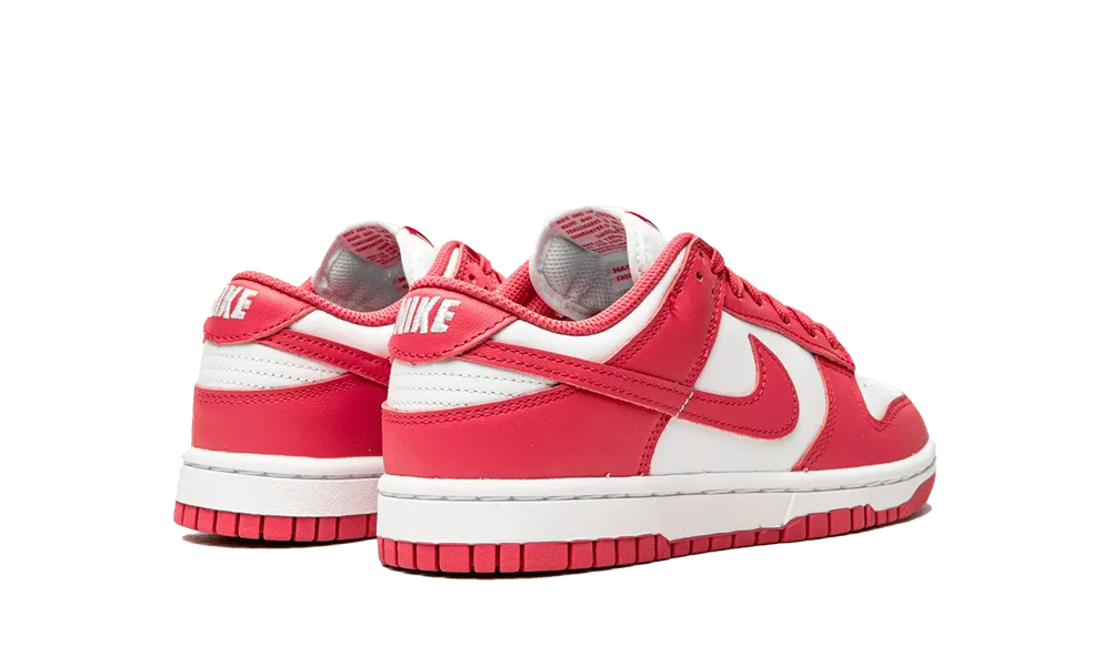 Nike Dunk Low Archeo Pink (W)